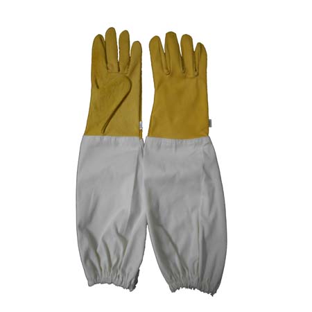  Gloves